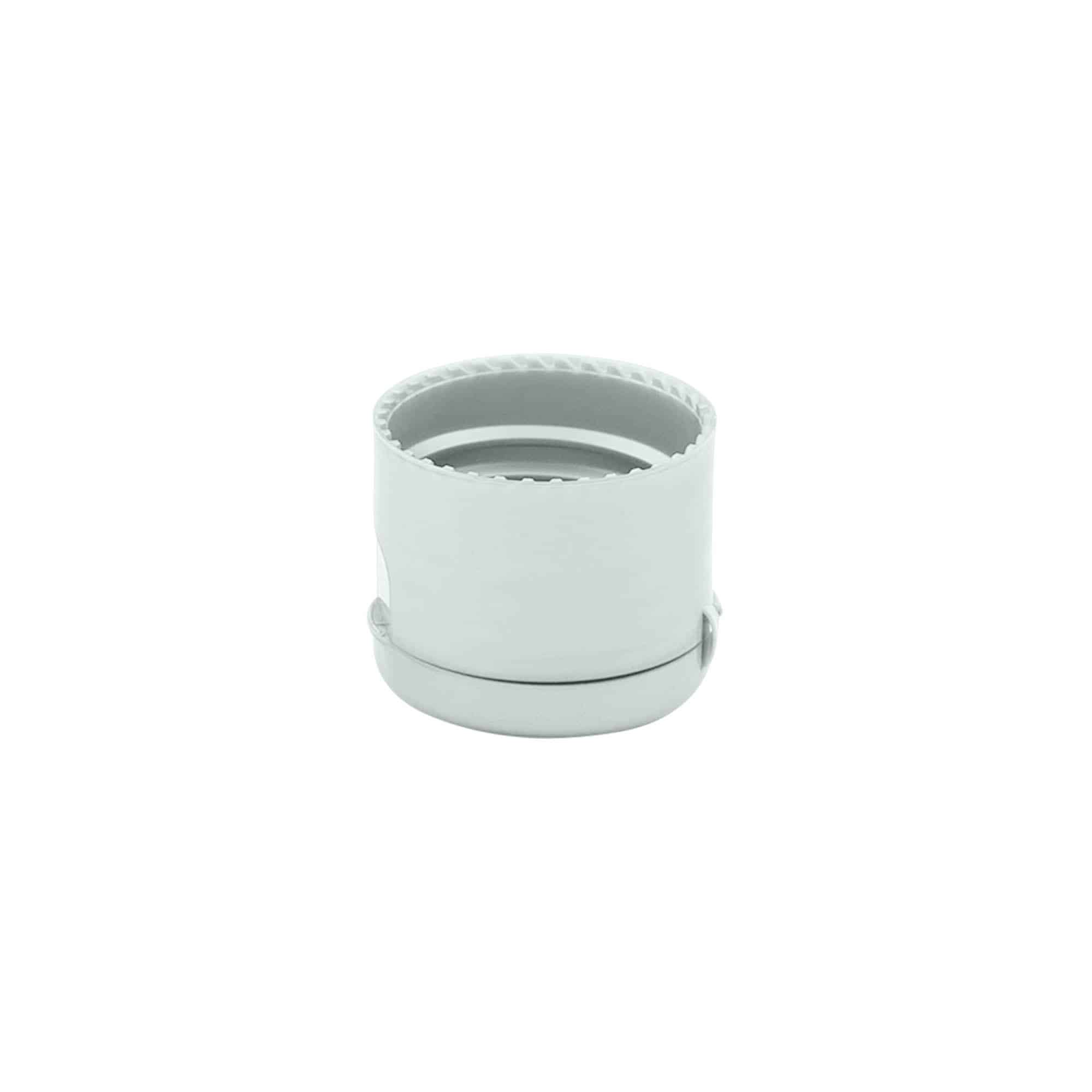 Βιδωτό πώμα με άνοιγμα flip top, πλαστικό PP, ασημί, για στόμιο: GPI 24/410